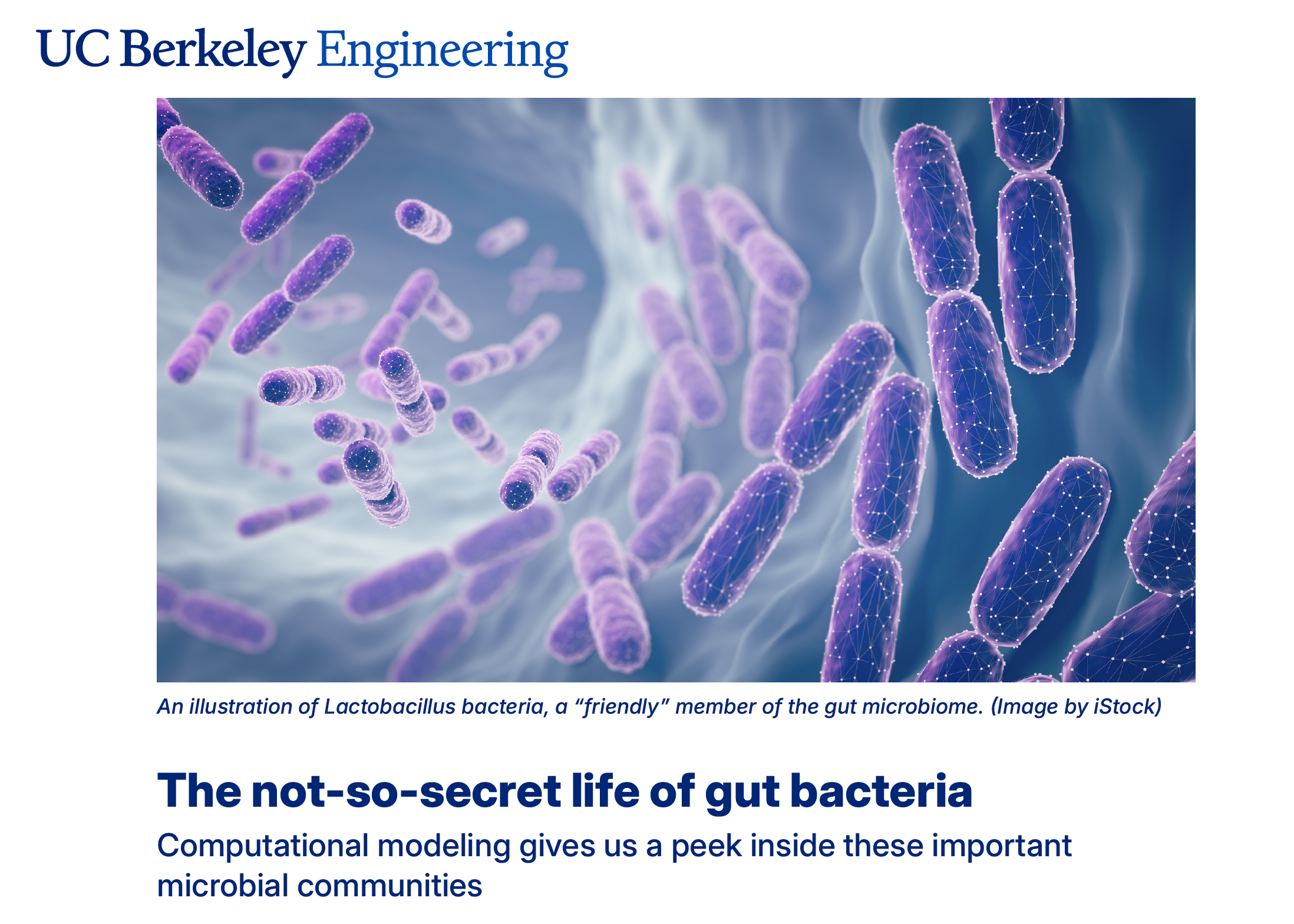 Our research on the gut microbiome was featured on the Berkeley Engineering website!