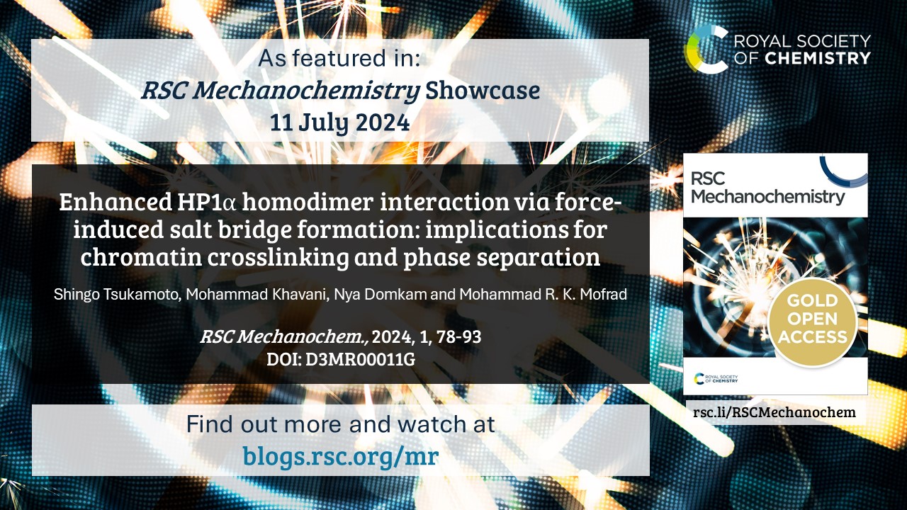 Shingo's paper "Enhanced HP1a homodimer interaction via force-induced salt bridge formation: implications for chromatin crosslinking and phase separation" was featured in the RSC Mechanochemistry Showcase as one of the top Editor's Choice articles.