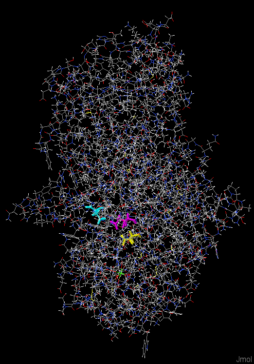 Enzyme active site molecular dynamics